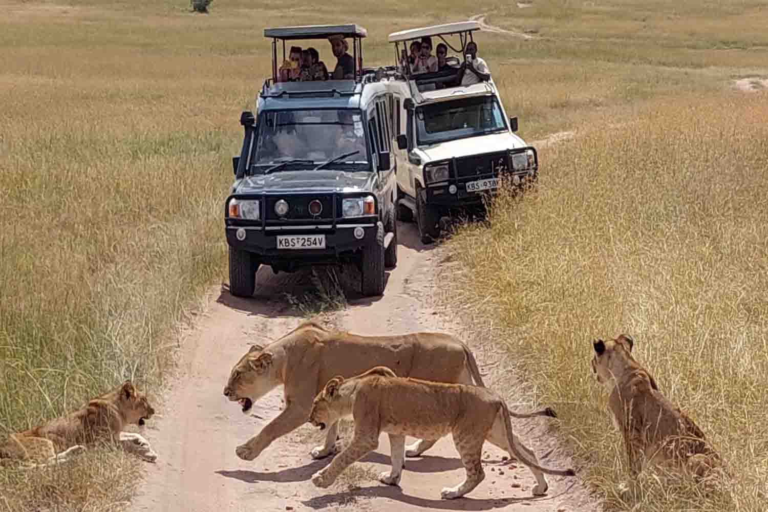 تور آفریقای جنوبی