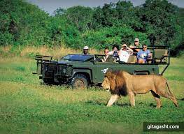 تور آفریقای جنوبی