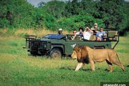 دنیا رو با یه نگاه دیگه ببین!