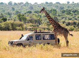 تور آفریقای جنوبی
